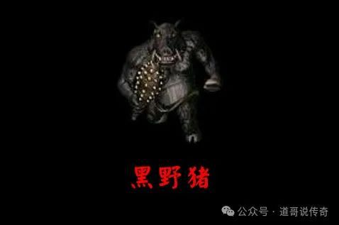 产出的三件珍品装备让众教主望尘莫及！新利体育网页版热血传奇新百区：黑野猪(图4)